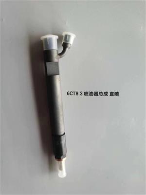 6CT8.3噴油器